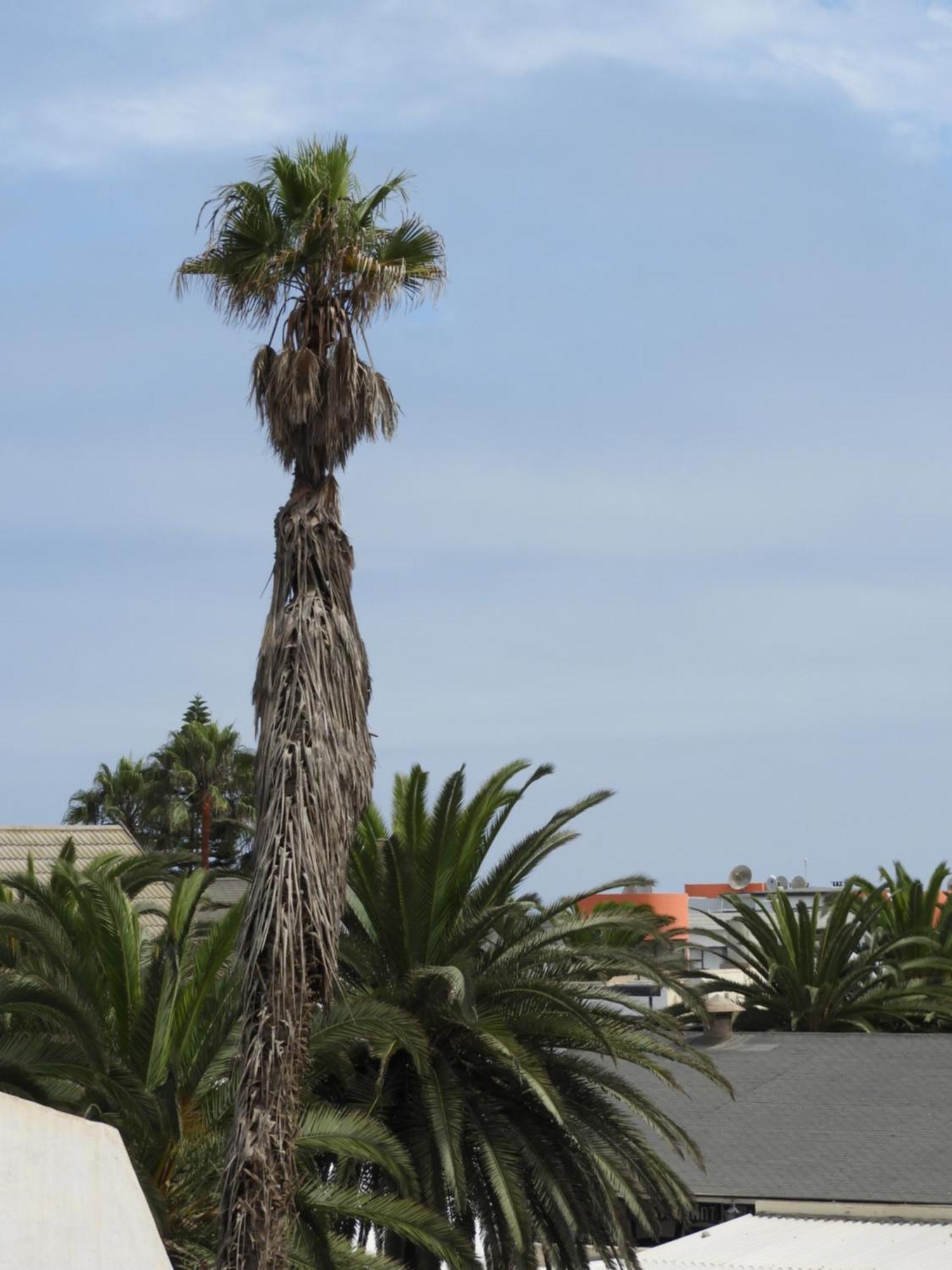 Central Self Catering Swakopmund Buitenkant foto